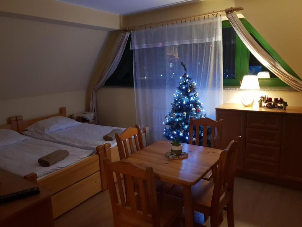 Apartamenty Pokoje Nowotarska Zakopane Kültér fotó