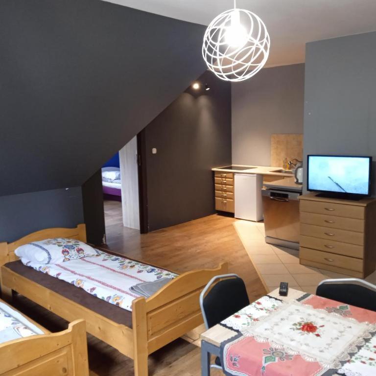 Apartamenty Pokoje Nowotarska Zakopane Kültér fotó